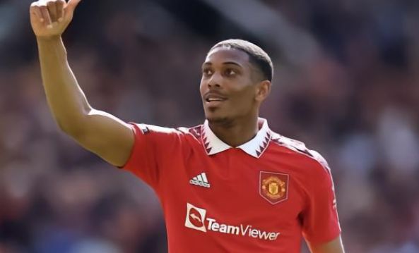 仿生涯末期 仿生涯末期